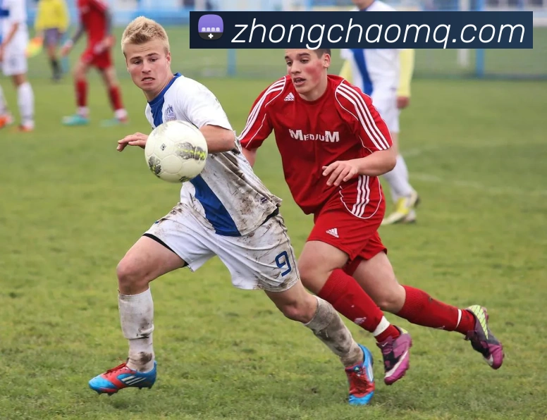 中超买球平台生态图